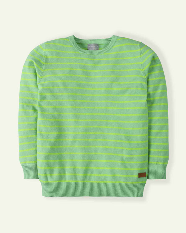 Parrot Green Sweater