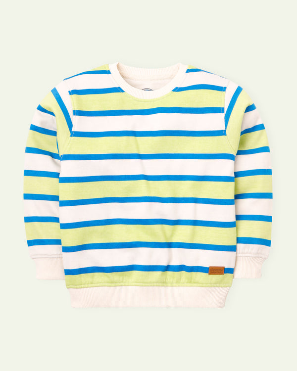 Green and Blue Striped Sweatshirt
