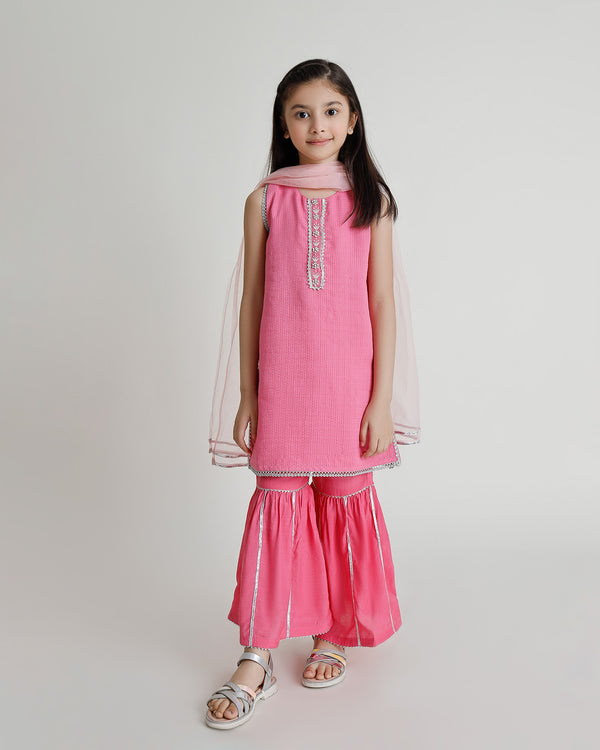 Pink Fancy Net Dress