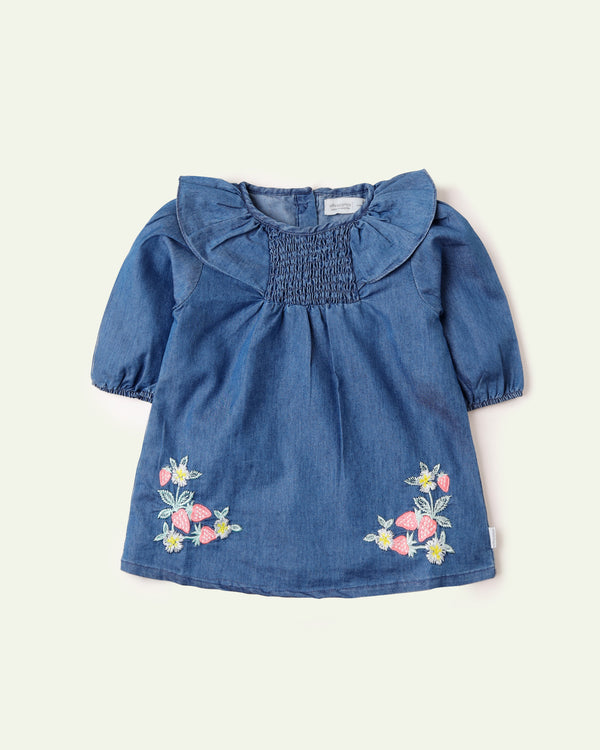 Denim Embroidered Top