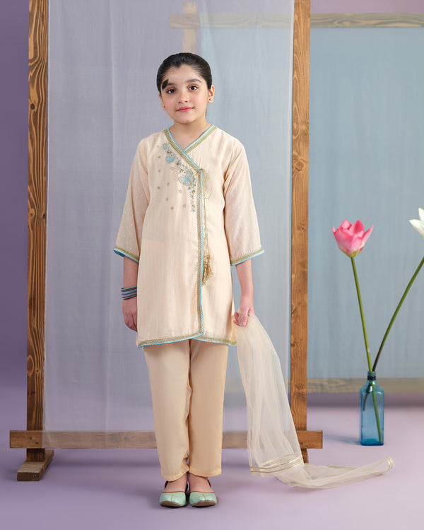 Beige Embroidered Suit