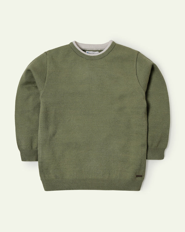 Olive Sweater
