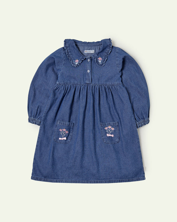 Denim Embroidered Dress