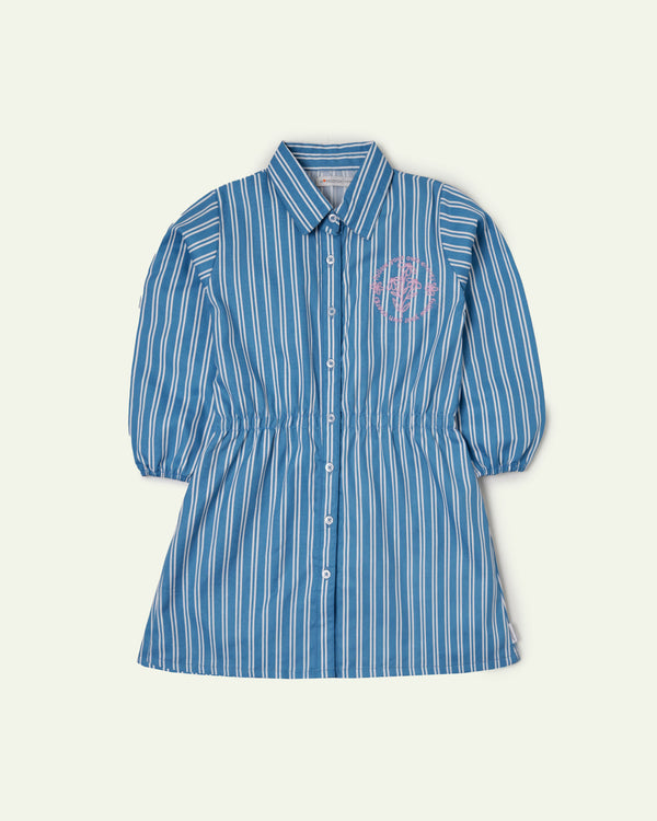 Embroidered Striped Dress