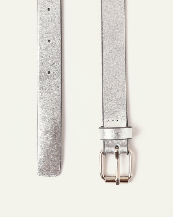 Shiny Silver Belt